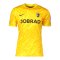 Nike SC Freiburg Torwarttrikot 2025/2026 Gelb F719gelb - gelb