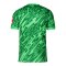 Nike SC Freiburg Torwarttrikot 2025/2026 Grün F329 - gruen