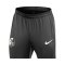 Nike SC Freiburg Trainingshose Schwarz F010 - schwarz