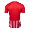 Nike SC Freiburg Trikot Home 2026/2027 Rot F657 - rot