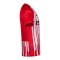 Nike SC Freiburg Trikot Home 2026/2027 Rot F657 - rot