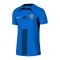 Nike NZS Slowenien Auth. Trikot Away EM 2024 Blau F463 - blau