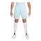 Nike Strike 24 Short Kids Blau F474 - blau
