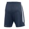 Nike Strike 26 Short Blau F410 - blau
