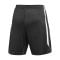 Nike Strike 26 Short Schwarz F010 - schwarz