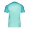 Nike Strike III Trikot Grün F354 - gruen