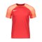 Nike Strike III Trikot Rot F657 - rot