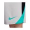 Nike Strike Short Grau F025 - grau