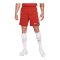 Nike Strike Short Rot F626 - rot