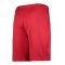 Nike Strike Short Rot Schwarz F687 - rot