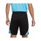 Nike Strike Short Schwarz F013 - schwarz