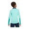 Nike Strike Sweatshirt Kids Grün F349 - gruen