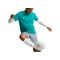 Nike Strike Trainingsshirt Grün F300 - gruen
