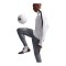 Nike Strike Trainingshose Grau F013 - grau
