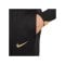 Nike Trainingshose Schwarz F011 - schwarz