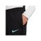 Nike Strike Trainingshose Schwarz F015 - schwarz