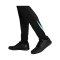 Nike Strike Trainingshose Schwarz F015 - schwarz