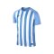 Nike Striped Segment III Trikot kurzarm Blau F412 - blau