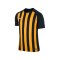 Nike Striped Segment III Trikot kurzarm F010 - schwarz