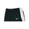 Nike Team Basketball Stock Short Damen Schwarz F010 - schwarz