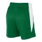 Nike Team Basketball Stock Short Damen Grün F302 - gruen