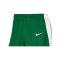 Nike Team Basketball Stock Short Grün Weiss F302 - gruen