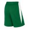 Nike Team Basketball Stock Short Grün Weiss F302 - gruen