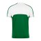 Nike Team Court Trikot Grün F302 - gruen
