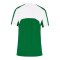 Nike Team Court Trikot Kids Grün F302 - gruen