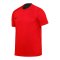 Nike Team Court Trikot Rot F657 - rot