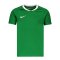 Nike Team Crew Razor Rugby Trikot Kids Braun F302 - gruen