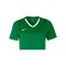 Nike Team Spike Trikot Damen Grün F302 - gruen