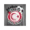 Nike TFF Türkei T-Shirt Grau - grau