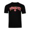 Nike TFF Türkei Biz Bitti Demeden Bitmez T-Shirt Schwarz Ftffcz0881bitmezschwarz - schwarz