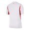 Nike TFF Türkei Trikot Authentic Away WM 2026 Weiß F100 - weiss