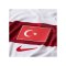 Nike TFF Türkei Trikot Authentic Away WM 2026 Weiß F100 - weiss