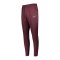 Nike Therma Academy Winter Warrior Hose Kids F652 - rot