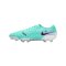 Nike Tiempo Legend X Elite FG Peak Ready Grün Schwarz F300 - gruen