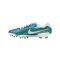Nike Tiempo Legend X Pro FG Emerald Grün Beige F300 - gruen