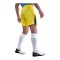 Nike Tottenham Hotspur Short 3rd 2025/2026 Gelb F740 - gelb