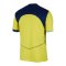 Nike Tottenham Hotspur Trikot 3rd 2025/2026 Gelb F741 - gelb