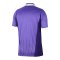 Nike Tottenham Hotspur Trikot 3rd 2026/2027 Lila F524 - lila