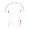 Nike Trikot Weiss Slim Fit F102 - weiss