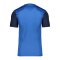 Nike Trophy V Trikot Blau F463 - dunkelblau