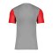 Nike Trophy V Trikot Grau F052 - grau