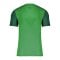 Nike Trophy V Trikot Grün F302 - gruen