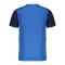 Nike Trophy V Trikot Kids Blau F463 - blau