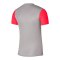 Nike Trophy V Trikot Kids Grau F052 - grau