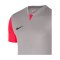 Nike Trophy V Trikot Kids Grau F052 - grau