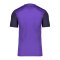 Nike Trophy V Trikot Lila F547 - lila